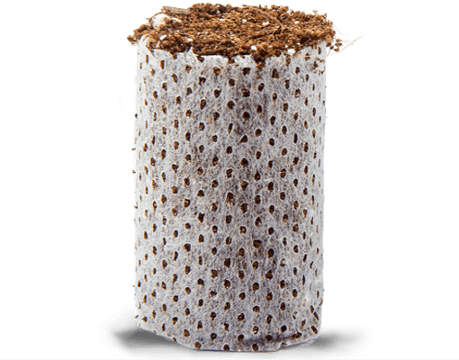 Close do papel biodegradável Ellepot