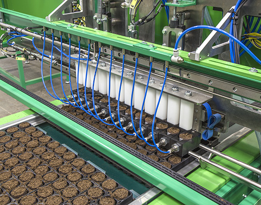 Máquina Ellepot com sistema de preenchimento de bandejas
